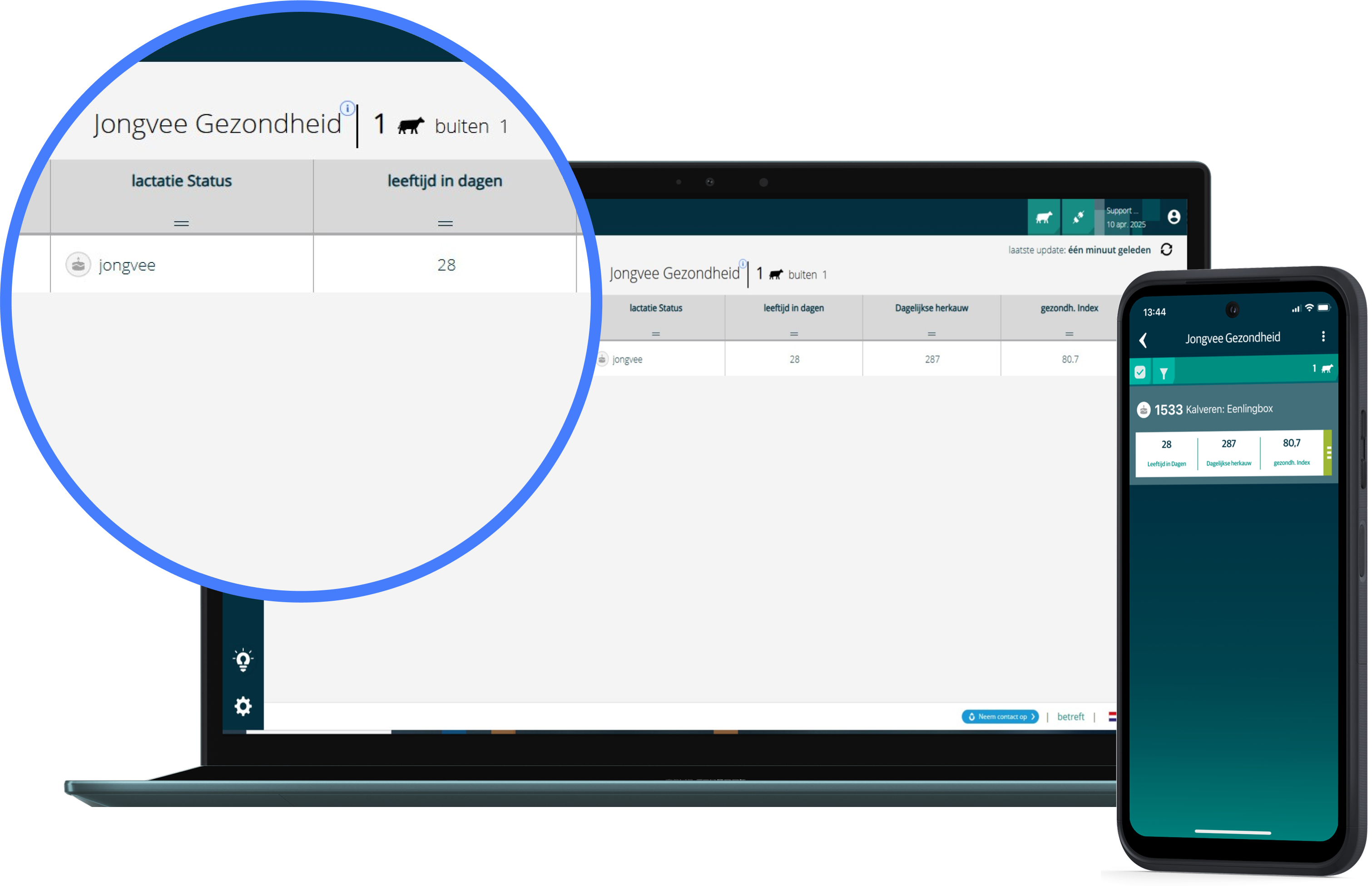 Laptop and phone showing data