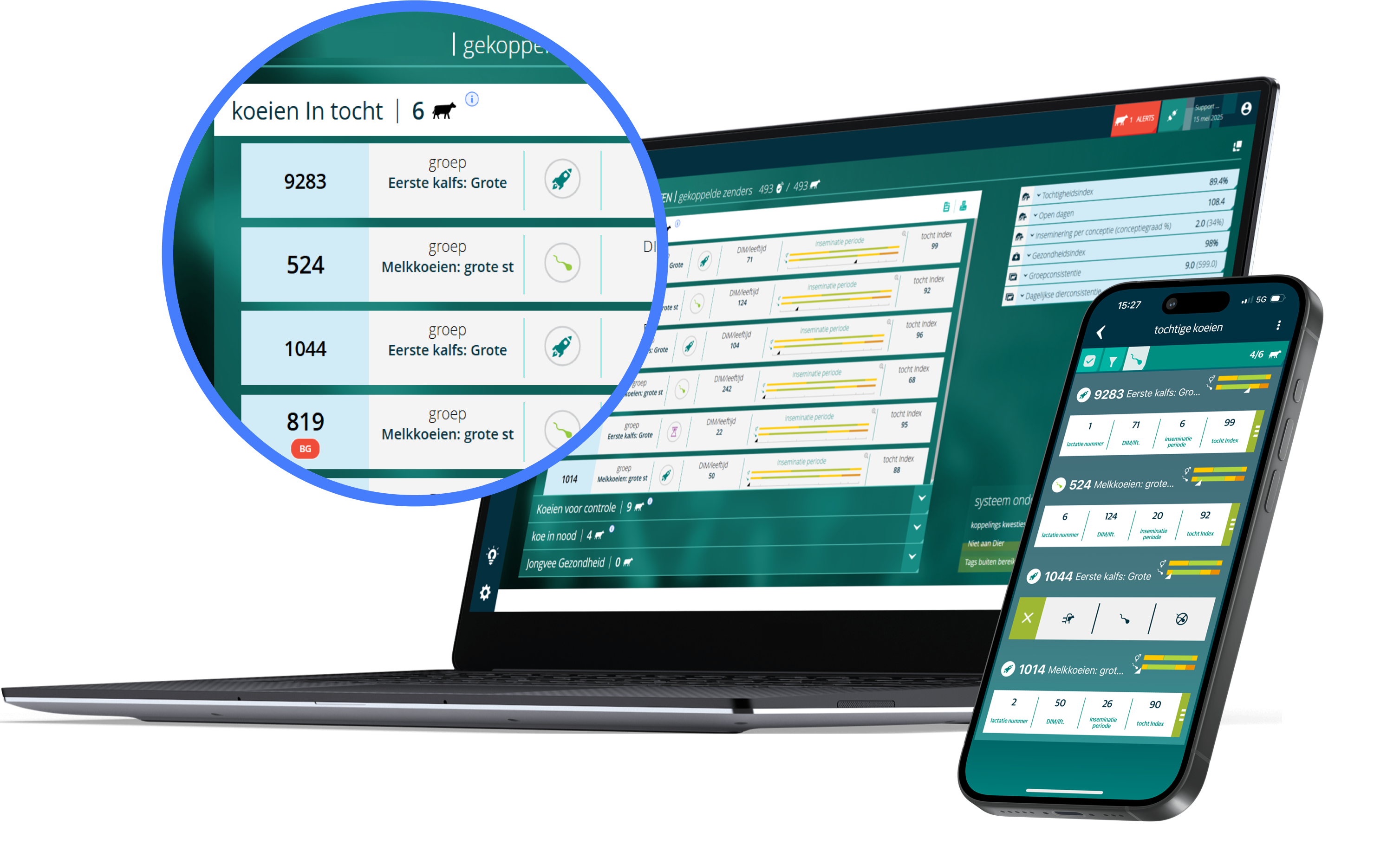 data shown on laptop and mobile devices
