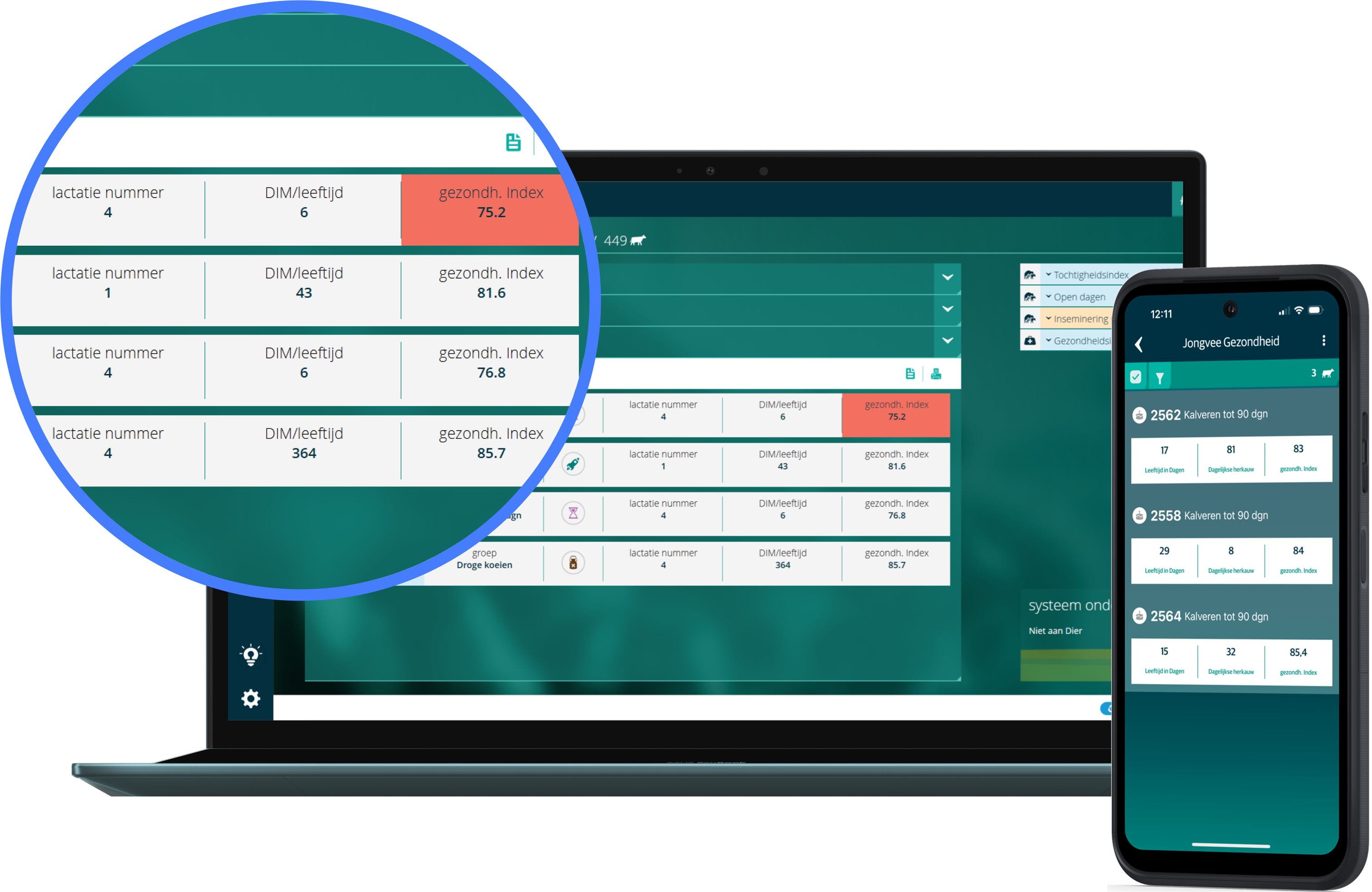 Laptop and phone showing table of data